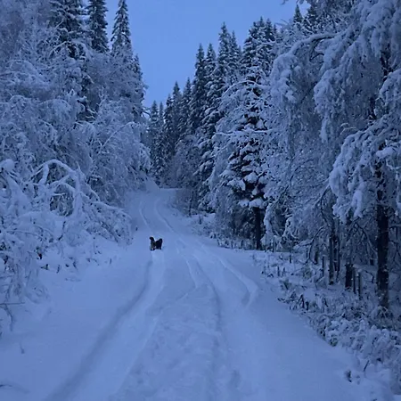 Spacious In Beautiful Norway Countryside Close To Trondheim Fjord Landsem